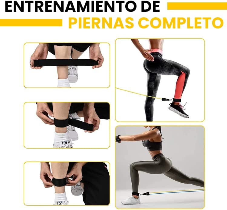 Bandas elásticas Multi PRO fitness + Bolsa de regalo