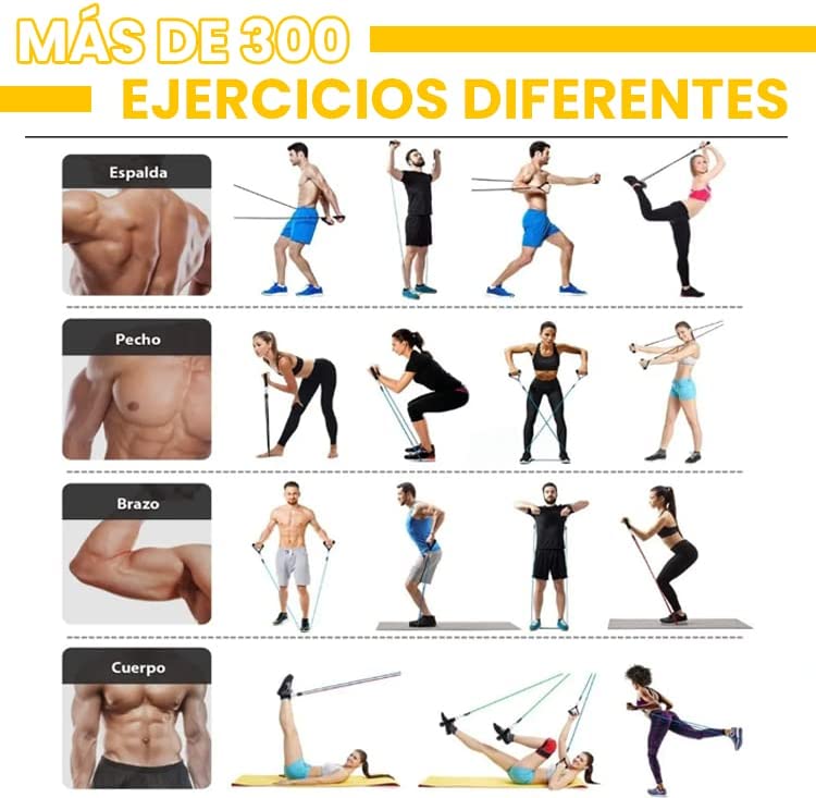 Bandas elásticas Multi PRO fitness + Bolsa de regalo