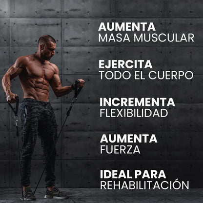 Bandas elásticas Multi PRO fitness + Bolsa de regalo