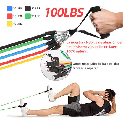 Bandas elásticas Multi PRO fitness + Bolsa de regalo